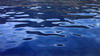 wasser